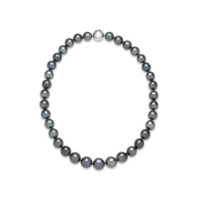 Single Row Tahitian Cultured Pearl Necklace