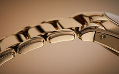 Patek Philippe Twenty~4 7340/1R-010