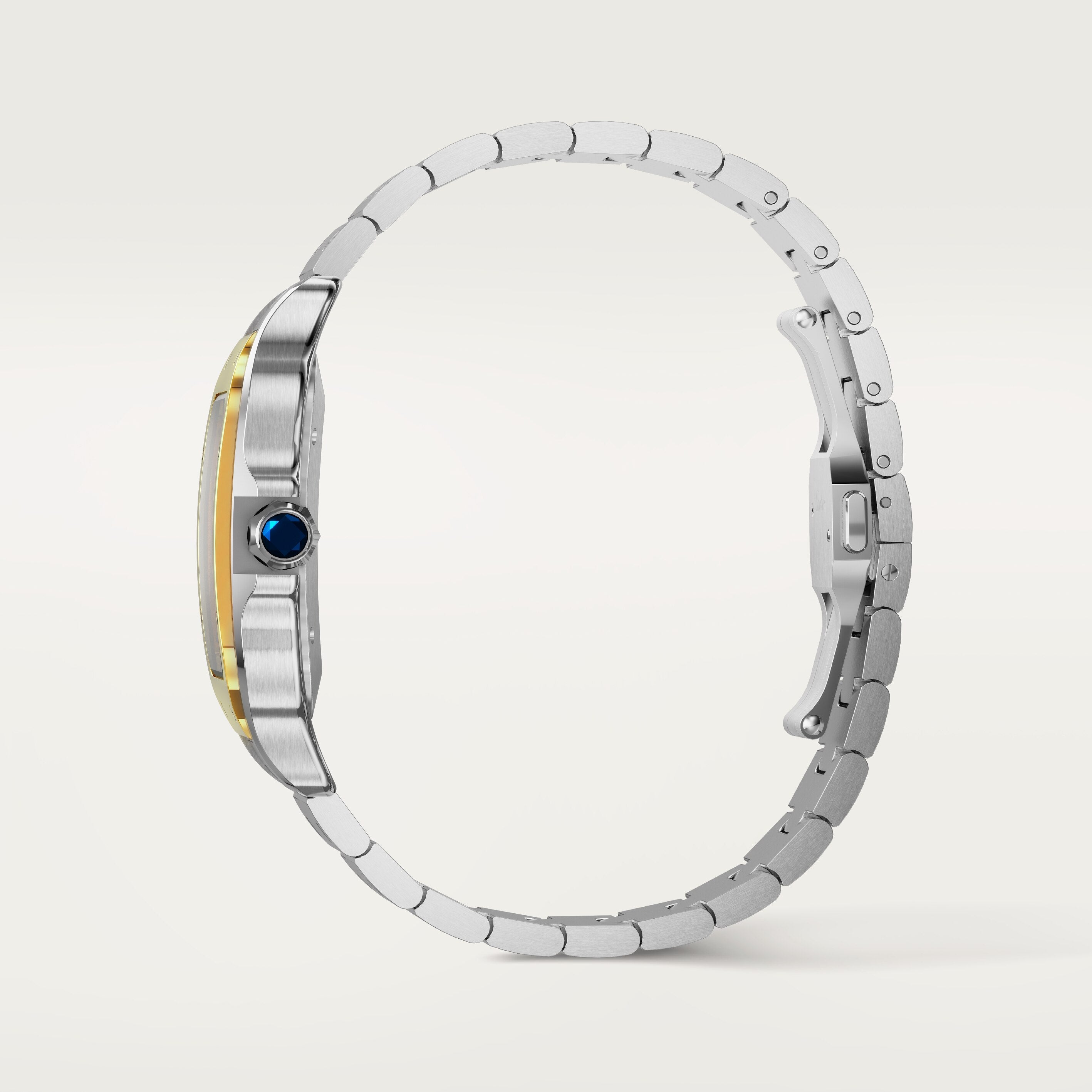 Santos De Cartier Watch, Large Model