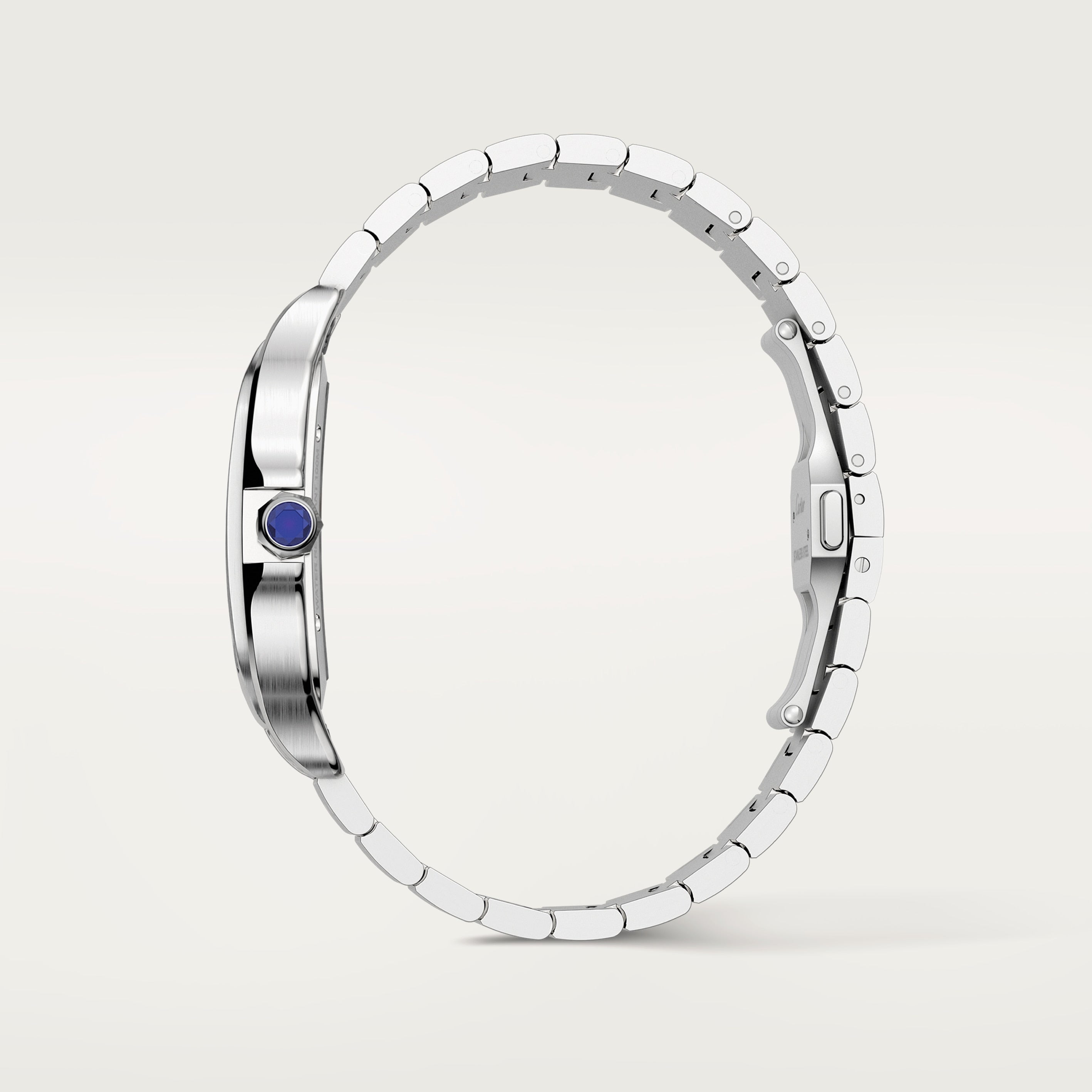 Santos De Cartier Watch, Large Model