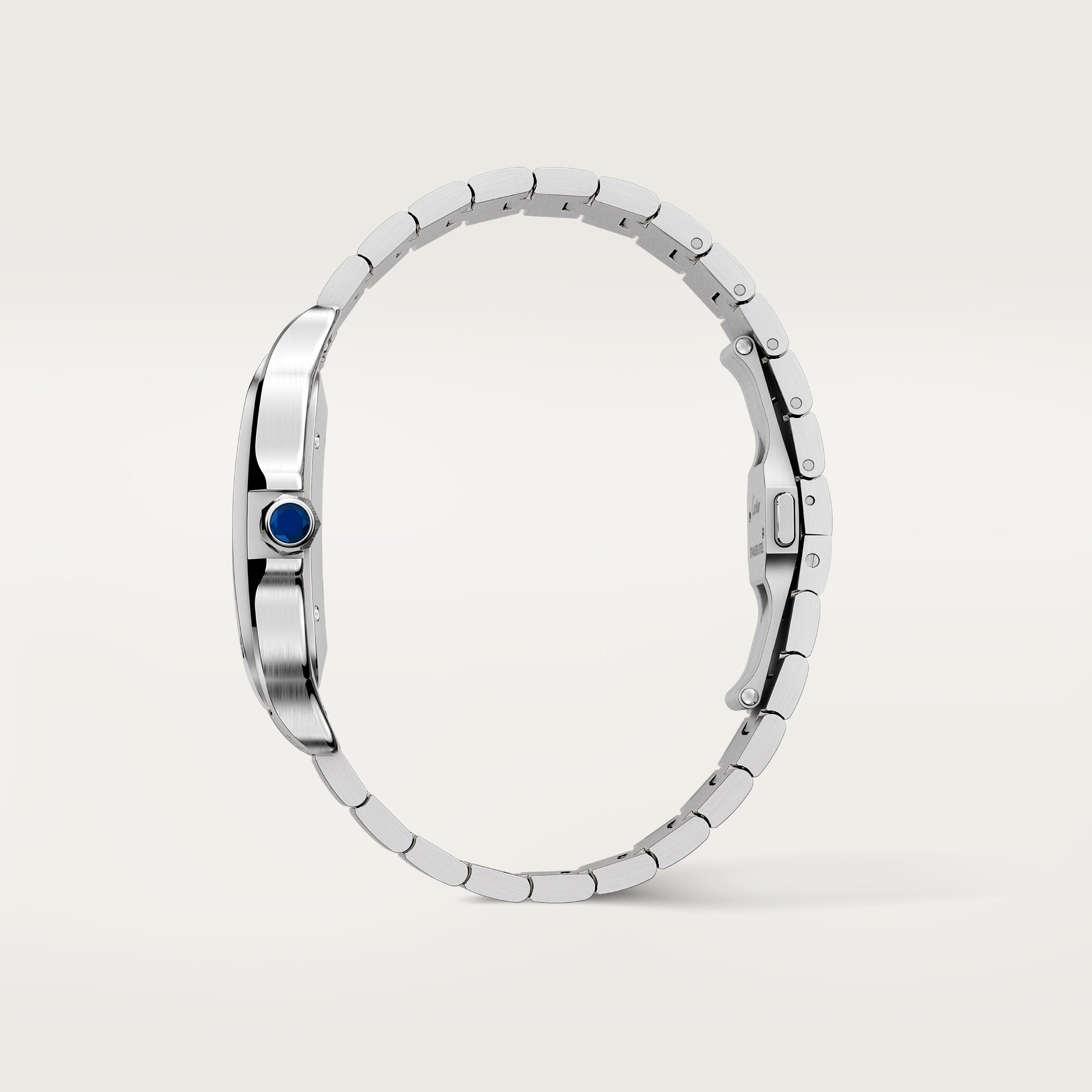 Santos De Cartier Watch, Large Model