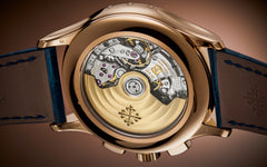 Patek Philippe Complications 5905R-010