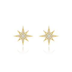 Sienna Collection 18ct Yellow Gold Diamond Set Stud Earrings