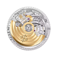 Patek Philippe Complications 5961R-010