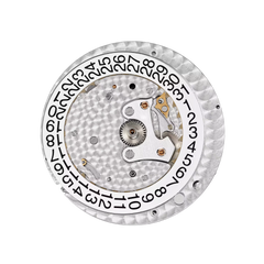 Patek Philippe Nautilus 5980/60G-001