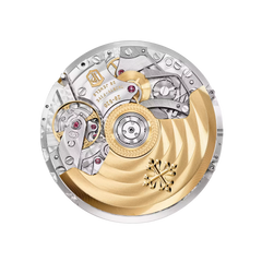 Patek Philippe Nautilus 5980/60G-001