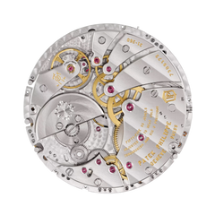 Patek Philippe Grand Complications 5236P-010