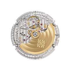 Patek Philippe Complications 4948G-010