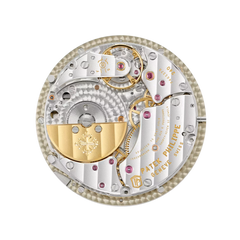 Patek Philippe Complications 5330G-001