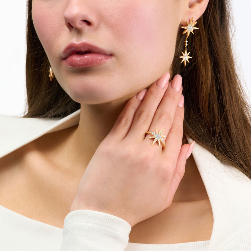Sienna 18ct Rose Gold Diamond Drop Earrings