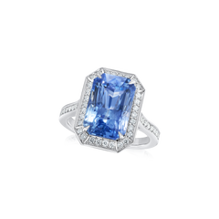 7.36cts Sapphire and Diamond Cluster Ring