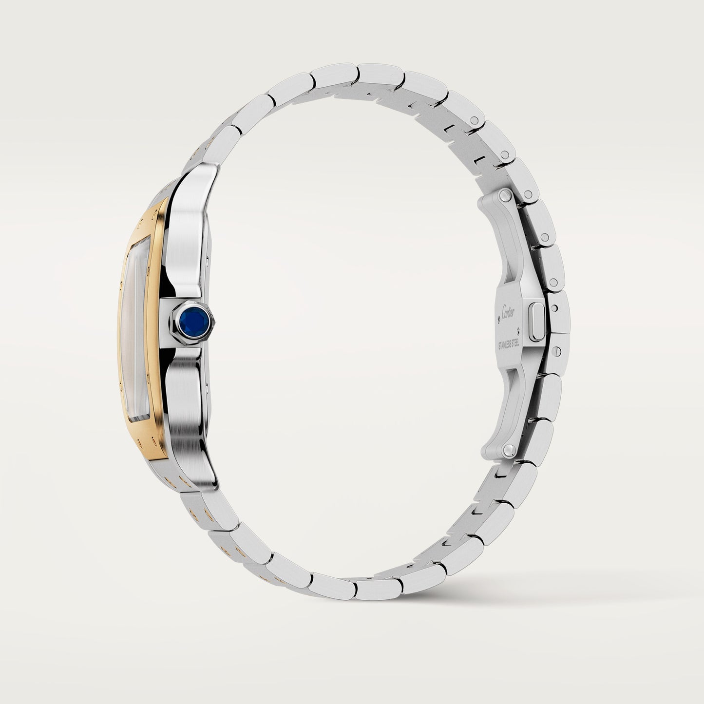 Santos De Cartier Watch, Large Model