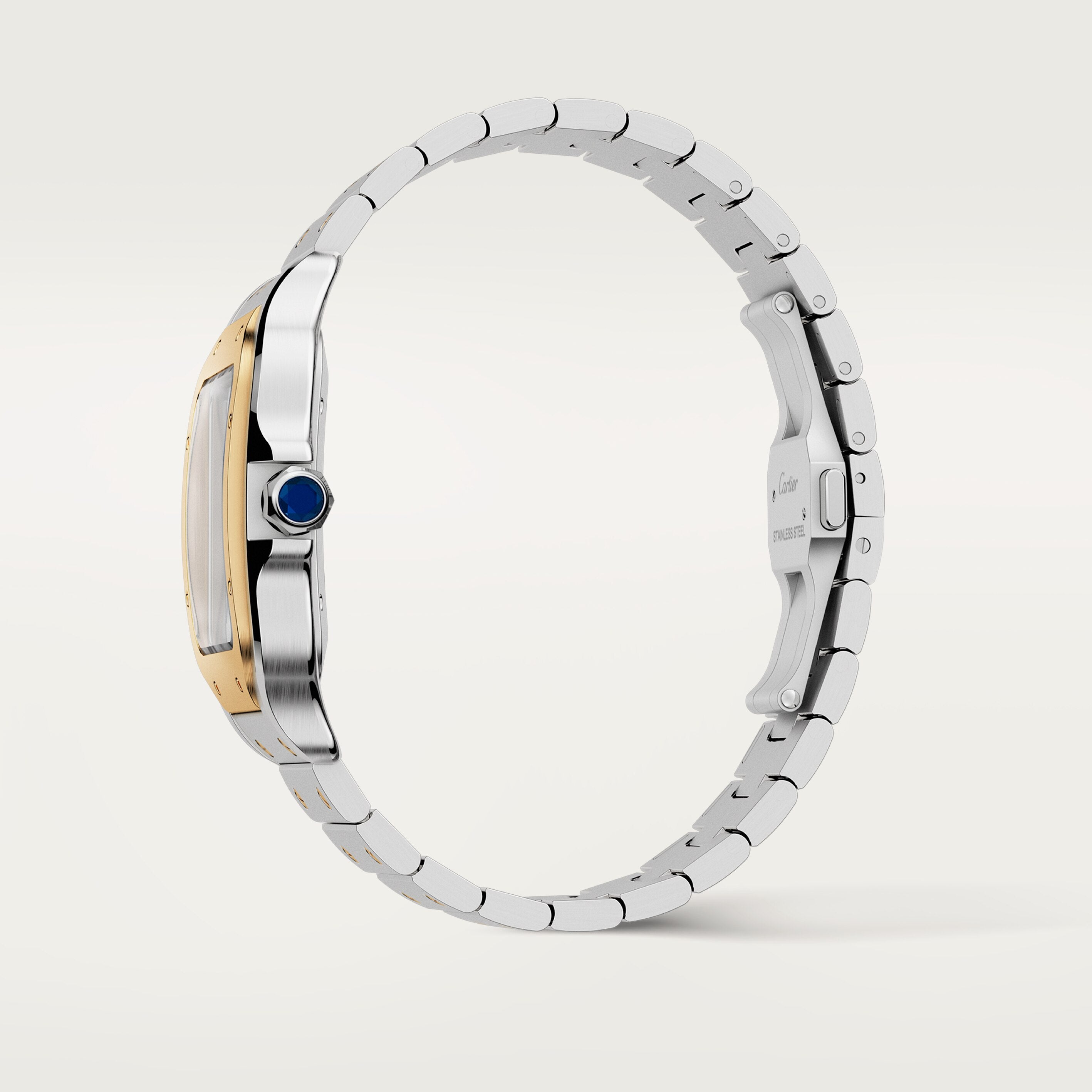 Santos De Cartier Watch, Large Model