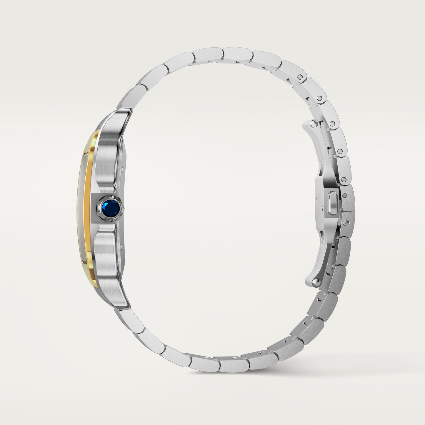 Santos De Cartier Watch, Large Model