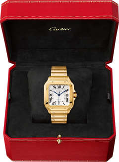 Santos De Cartier Watch, Medium Model