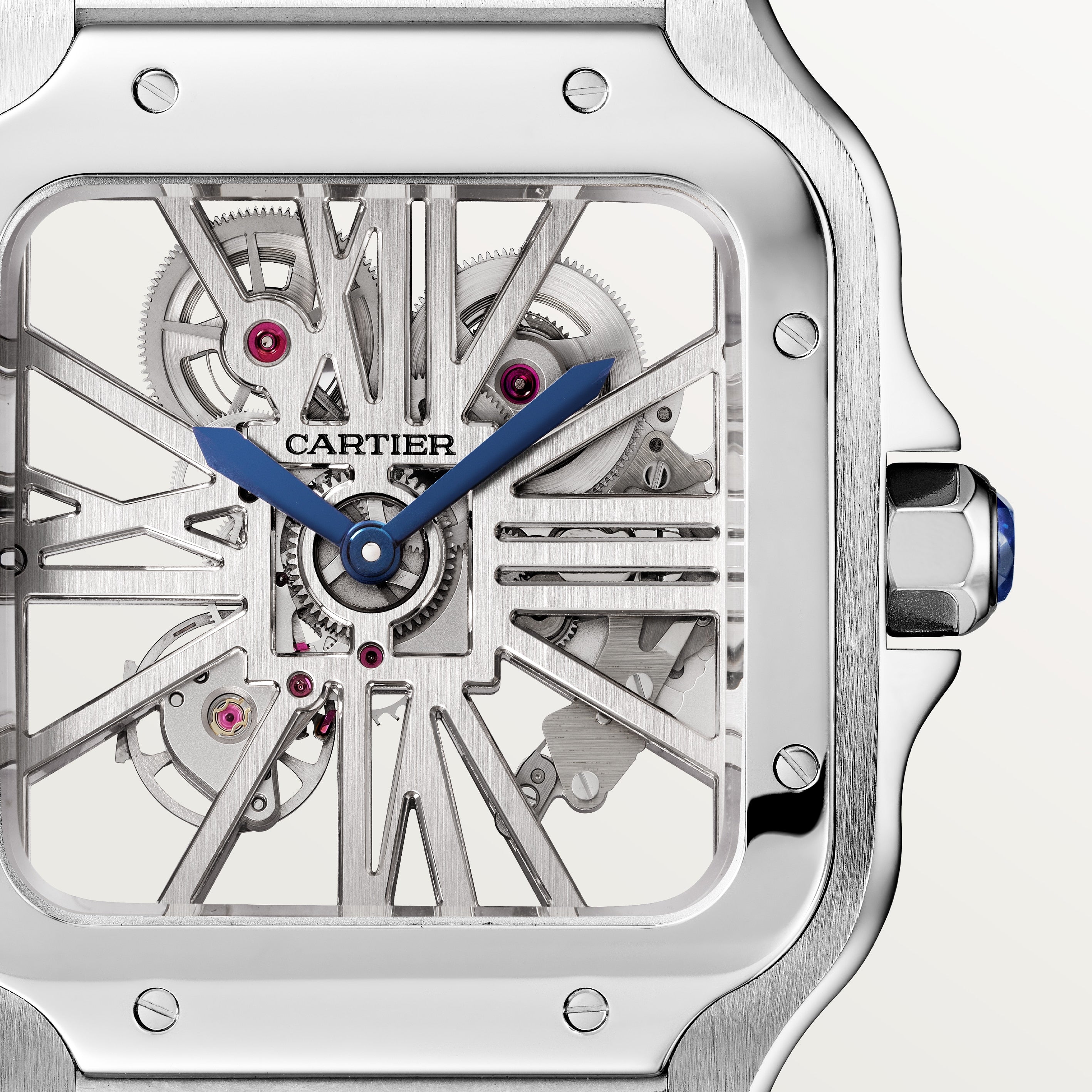 Santos De Cartier Watch, Large Model