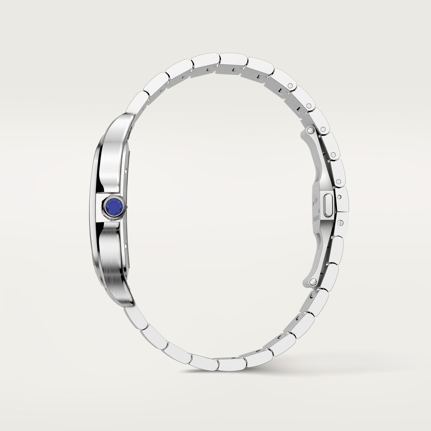 Santos De Cartier Watch, Large Model