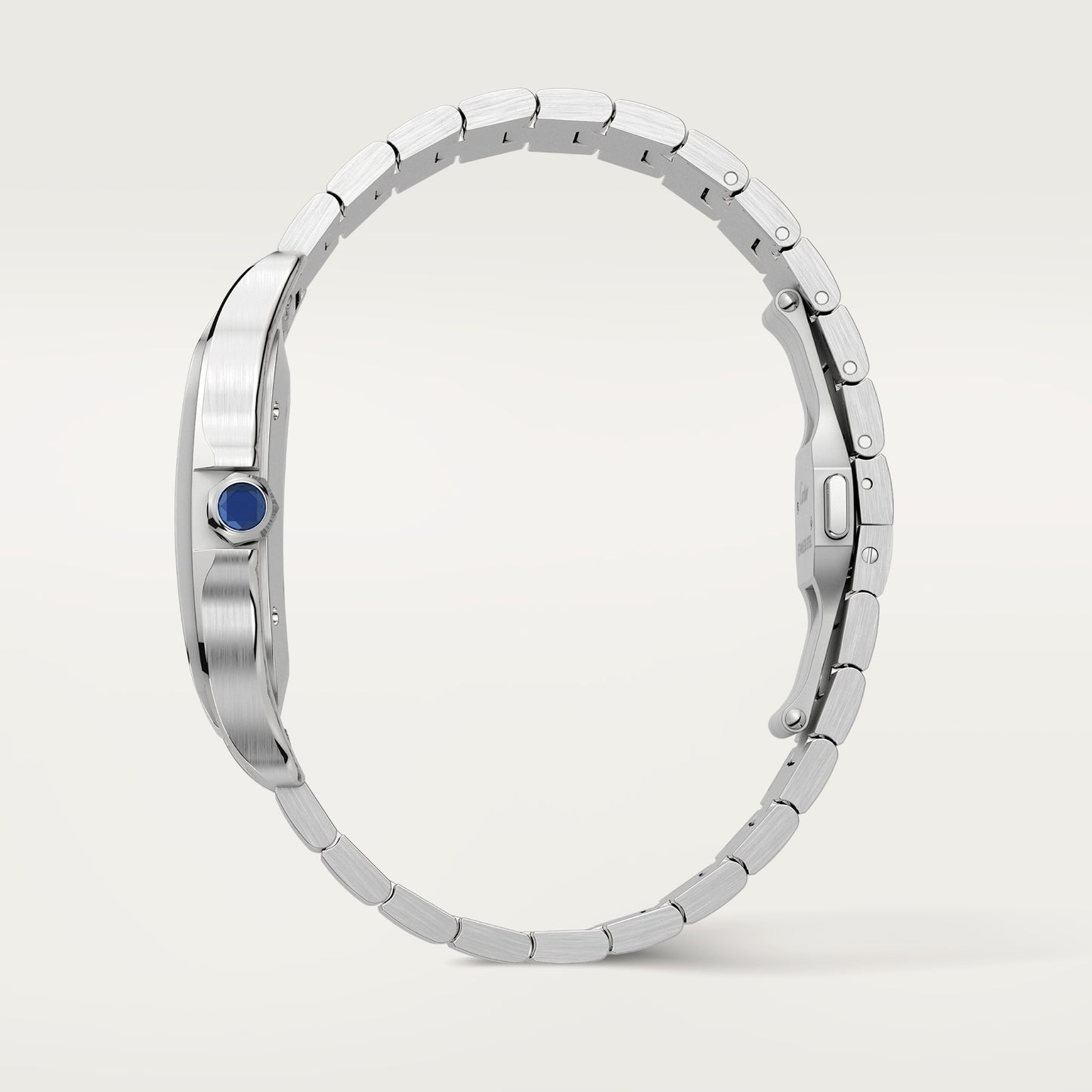 Santos De Cartier Watch, Large Model