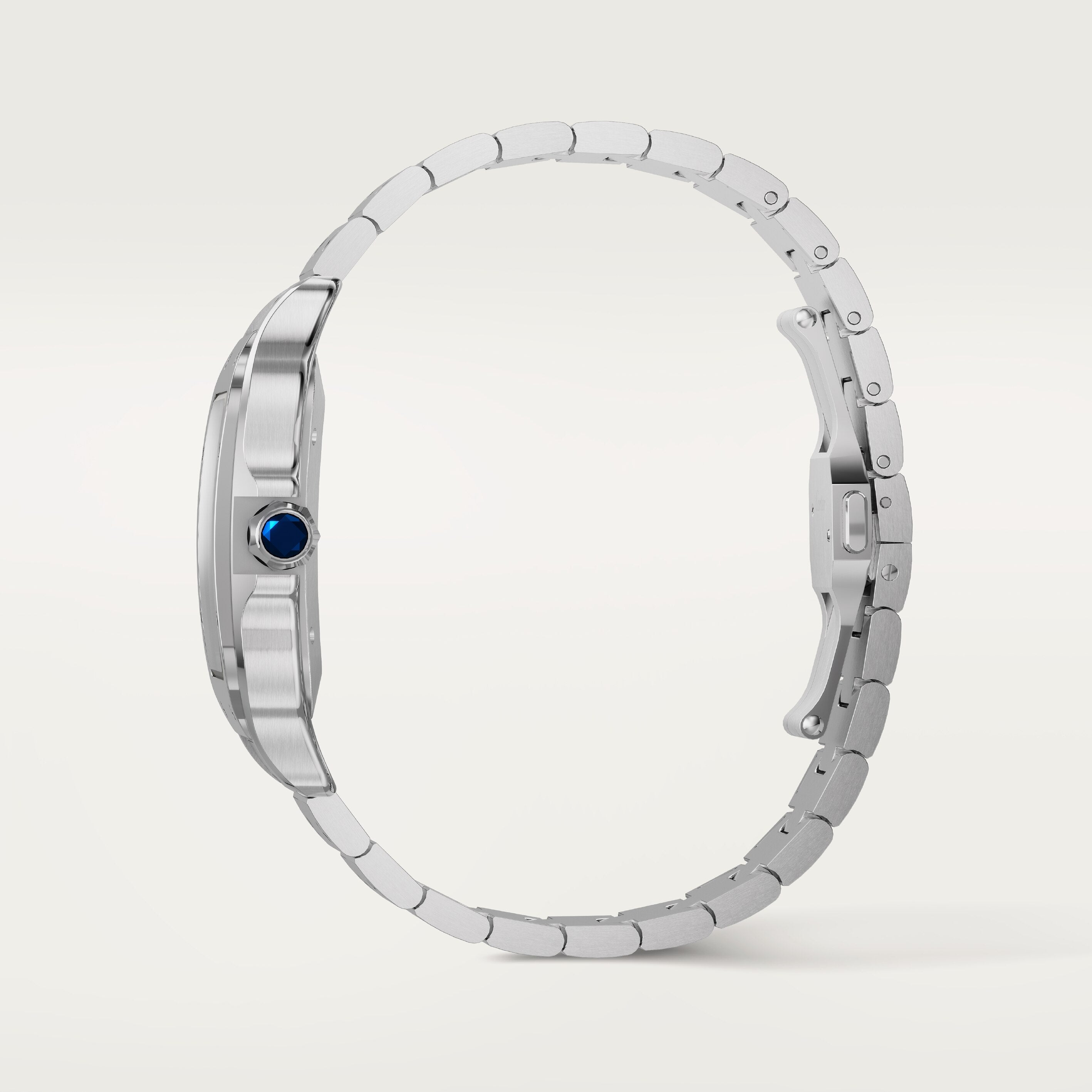 Santos De Cartier Watch, Large Model