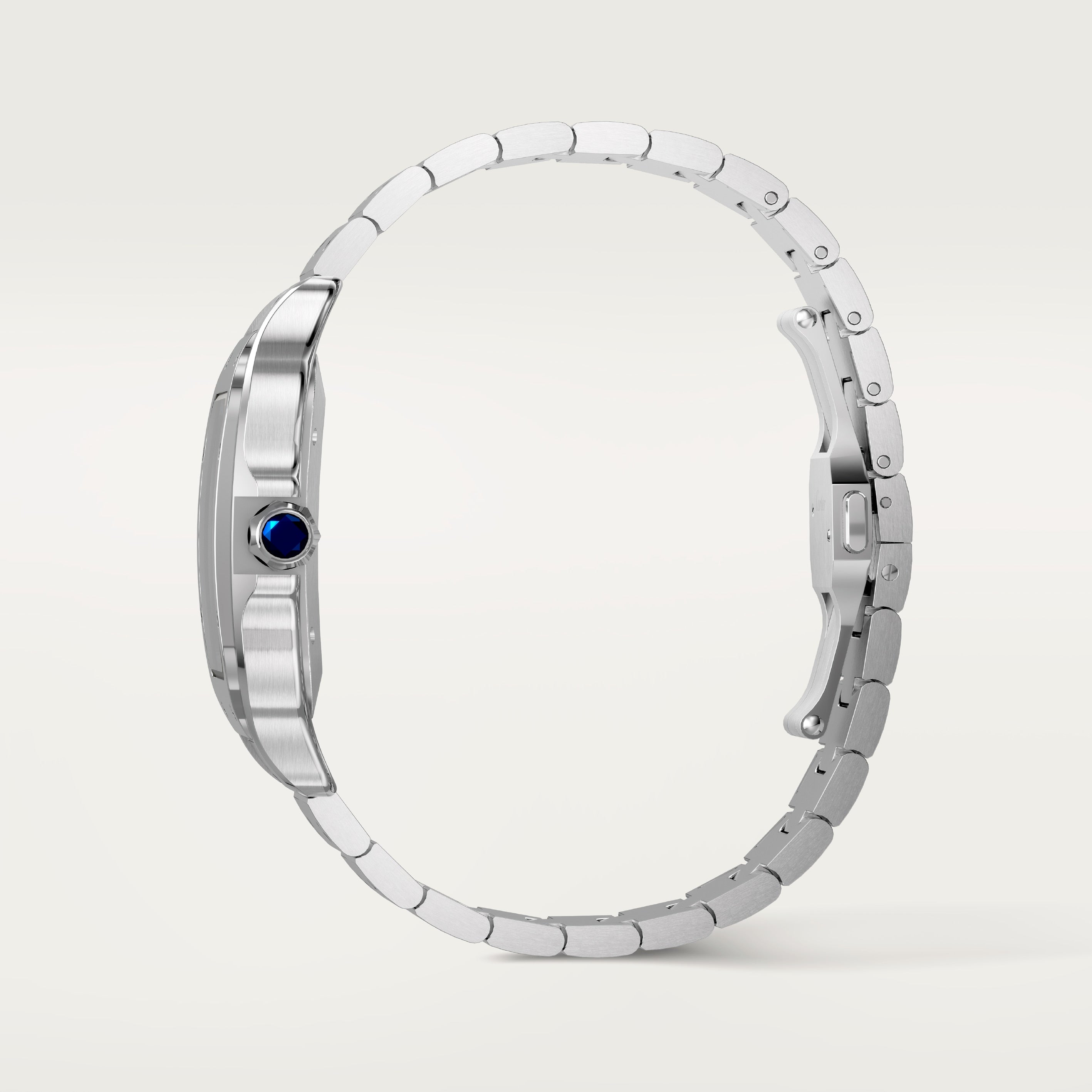 Santos De Cartier Watch, Large Model