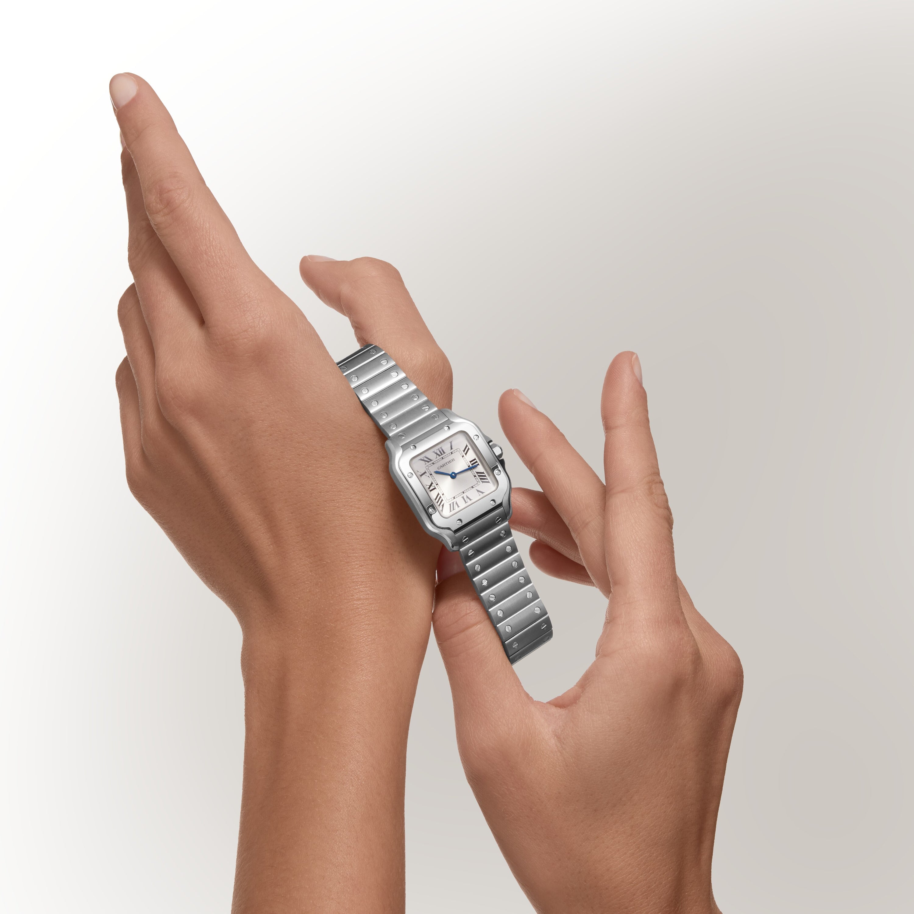 Santos De Cartier Watch, Small Model