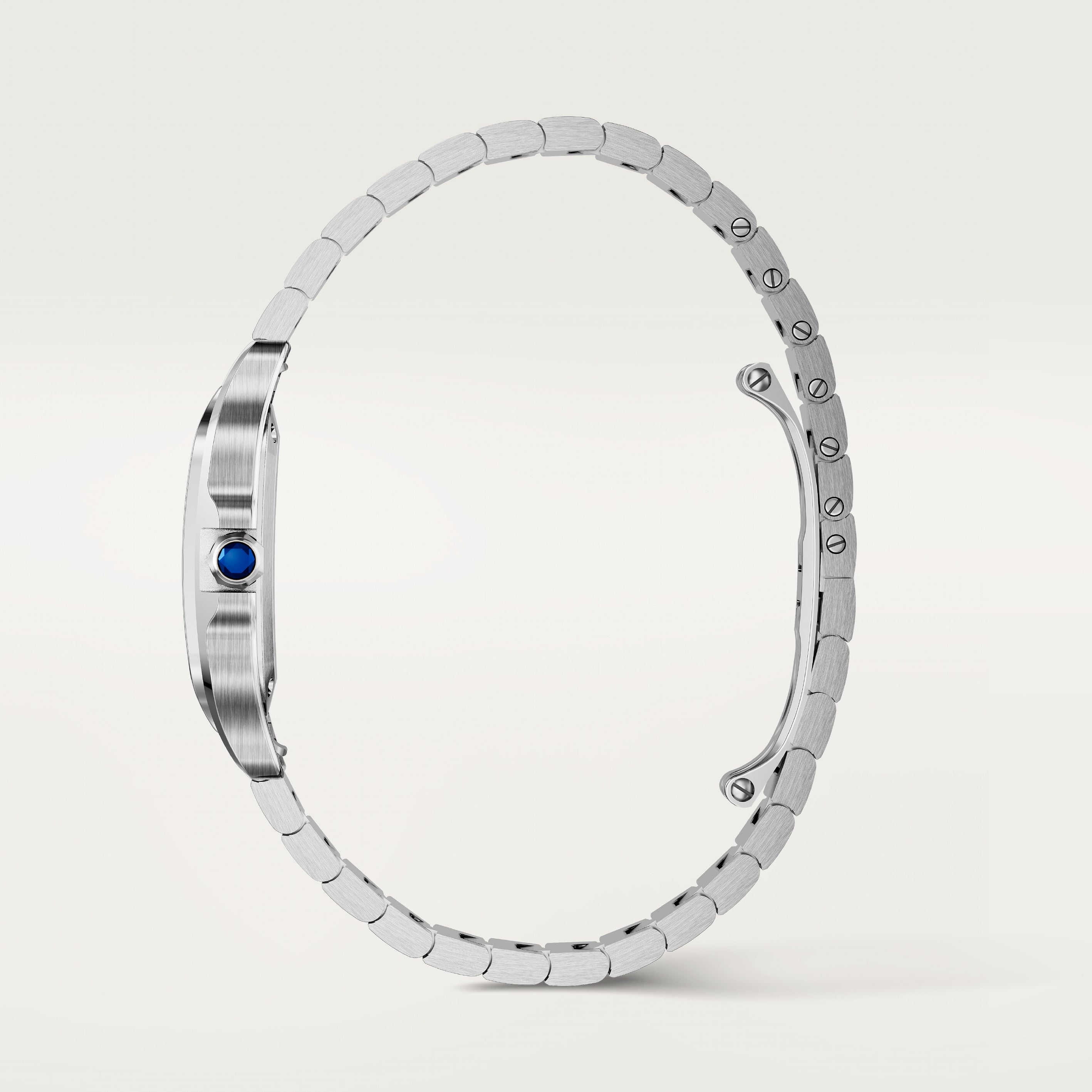Santos De Cartier Watch, Small Model