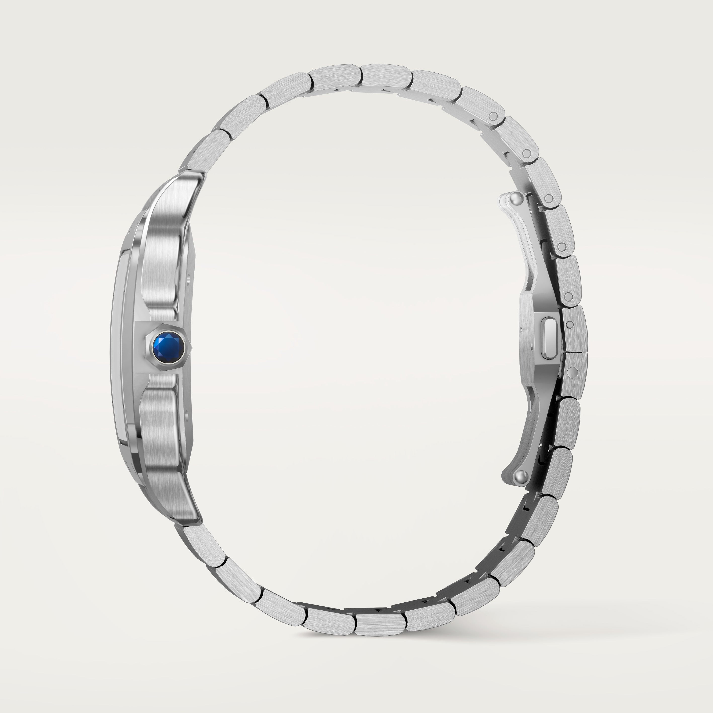 Santos De Cartier Watch, Large Model