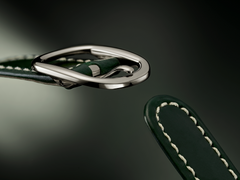 Patek Philippe Golden Ellipse 3738/100G-014