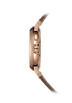 Patek Philippe Complications 5249R-001