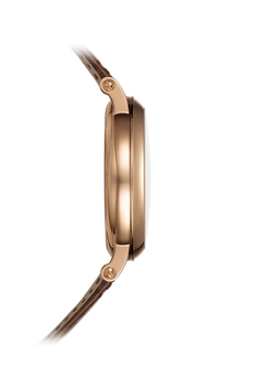 Patek Philippe Complications 5249R-001