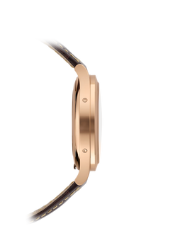 Patek Philippe Complications 5396R-016