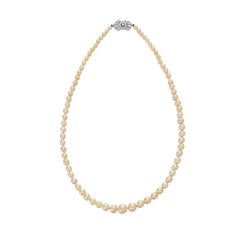 Graduated Single Row Natural Saltwater Pearl Necklace